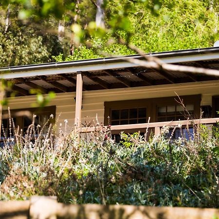 Bed and Breakfast Buttercup Hill Warburton Exterior foto