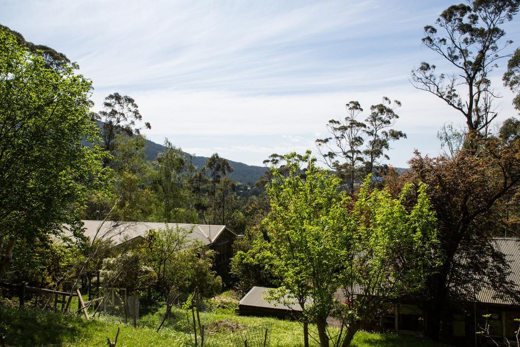 Bed and Breakfast Buttercup Hill Warburton Zimmer foto